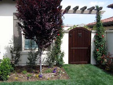 Rustic Tuscan style entry and planting